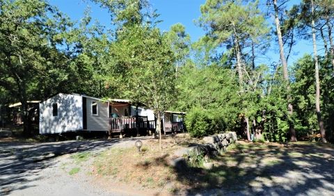 Mobil-home en camping avec accès à la rivière en Ardèche